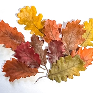 May include: A collection of dried oak leaves in various autumn colours including vibrant yellow, deep orange, rustic red, and muted brown. The leaves are arranged in a cluster, showcasing their distinct lobed edges and natural textures.