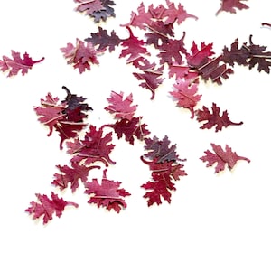 May include: A collection of small, dried oak leaf cutouts in various shades of deep magenta, burgundy, and dark purple. Each individual leaf features a distinct lobed shape with visible veins and a thin stem, scattered across a plain white surface.