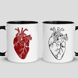 Anatomisk hjärtmugg, illustration av mänskligt hjärta, medicinsk gåva