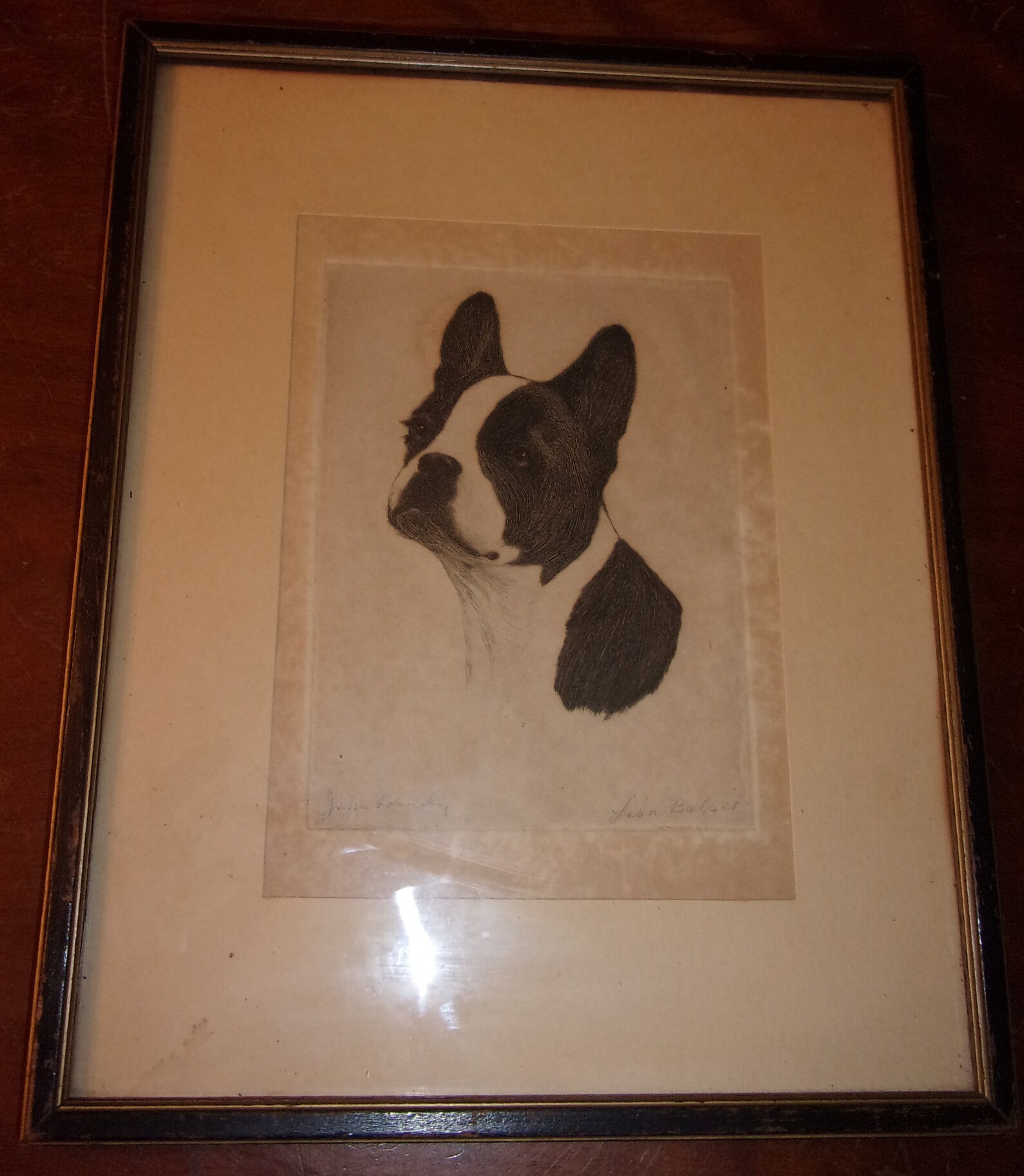 Beautiful Vintage Signed Art Etching Dog Named Jim Dandy By | Etsy