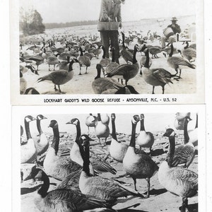 Lockhart Gaddy&#39;s Goose Refuge Ansonville NY Zwei 1940er Jahre RPPC Postkarten
