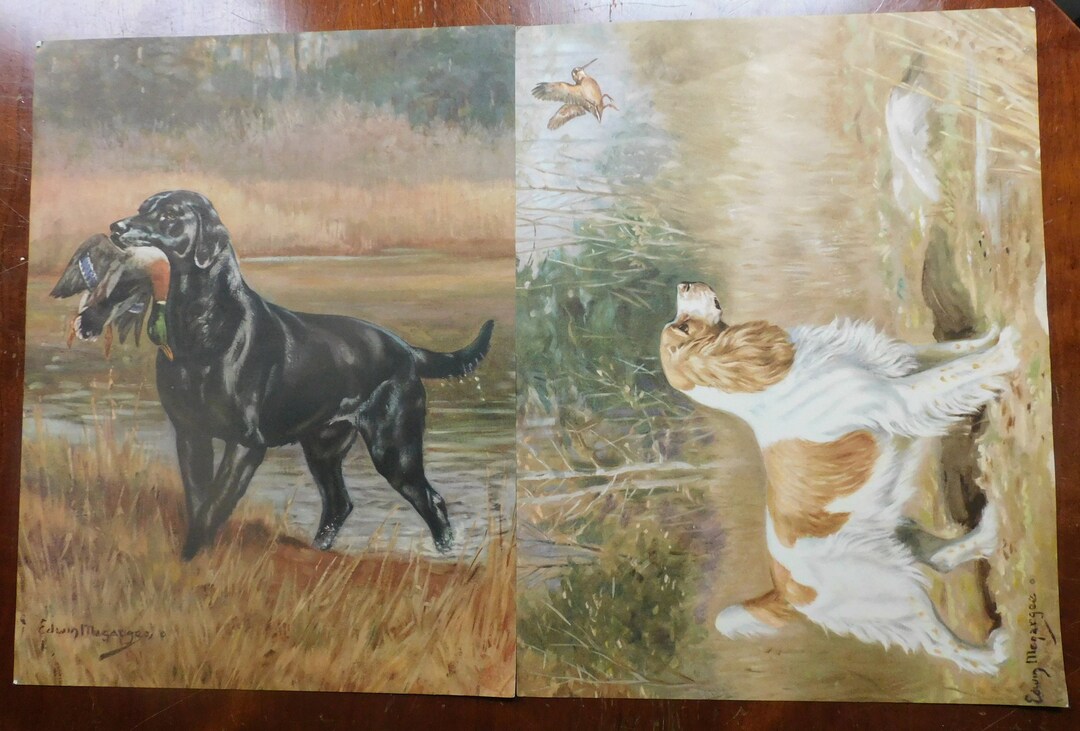 Twelve 1940s Field and Stream Art Prints Plus Survey and Etsy