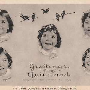 Op de afbeelding: Vintage zwart-wit ansichtkaart met portretten van vijf lachende kinderen, elk met een naam eronder. De tekst "Greetings from Quintland" is gecentreerd, met vogelillustraties erboven. Copyright NEA Service Inc. 1937.