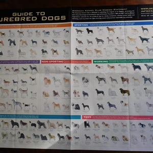 Veterinary American Kennel Club AKC Dog Breed Guide Purebred