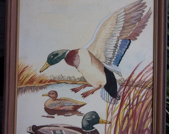 Pintura de acuarela de mediados de siglo patos en el agua