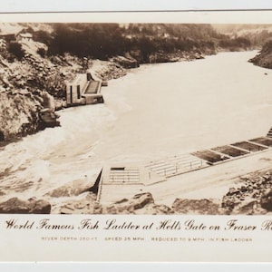 May include: Vintage sepia-toned postcard depicting the World Famous Fish Ladder at Hell's Gate on the Fraser River. The image shows a concrete structure with steps and a river flowing through a canyon. Text on the card indicates the river depth is 200 ft.