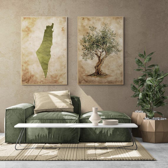 olivenbaum 2 m Olivenbaum XXL-Größe kaufen