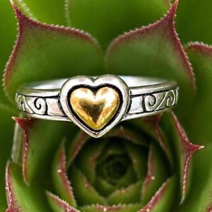 May include: A silver-toned ring featuring a central heart-shaped element with a polished gold-toned finish. The band is crafted with an oxidized silver-toned metal and displays a repeating embossed scrollwork pattern along the sides of the ring.