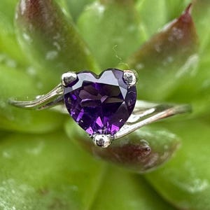 May include: A silver ring with a heart-shaped, faceted, deep purple gemstone. The ring is set against a blurred background of green succulent leaves, creating a contrast of colors and textures. The ring's band has a delicate, swirling design.