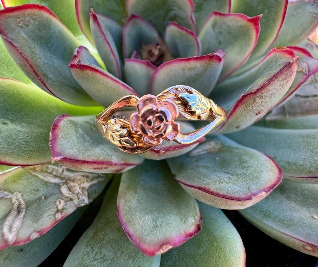 Vintage 10K Tri-color Gold Flower Ring - Black Hills Gold, Size