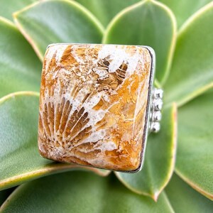 May include: A square ring featuring a polished fossilized coral stone with intricate white and tan fan-shaped patterns set in a silver metal frame. The stone has a smooth, glossy surface and a distinct organic texture with visible fossilized structures.