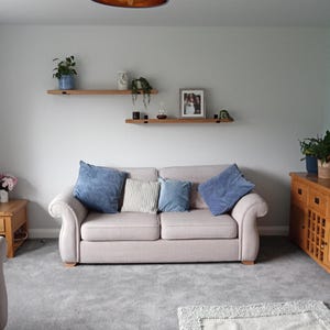 May include: A living room scene featuring a beige sofa with blue and striped pillows. Two wooden shelves hold plants and a framed photo. A blue lampshade hangs above, and the room has gray carpet and a wooden cabinet.