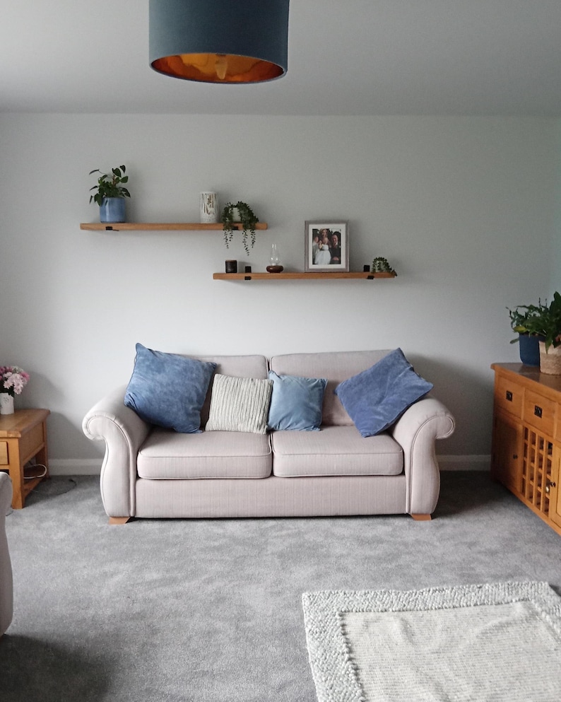 May include: A living room scene featuring a beige sofa with blue and striped pillows. Two wooden shelves hold plants and a framed photo. A blue lampshade hangs above, and the room has gray carpet and a wooden cabinet.