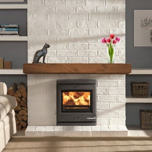 May include: A gray wood-burning stove with a glass door and a fire burning inside. The stove is set into a white brick fireplace with a wooden mantel. There is a black cat figurine on the mantel, and a vase of pink tulips.