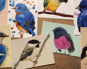 Bird prints, Colored Pencil