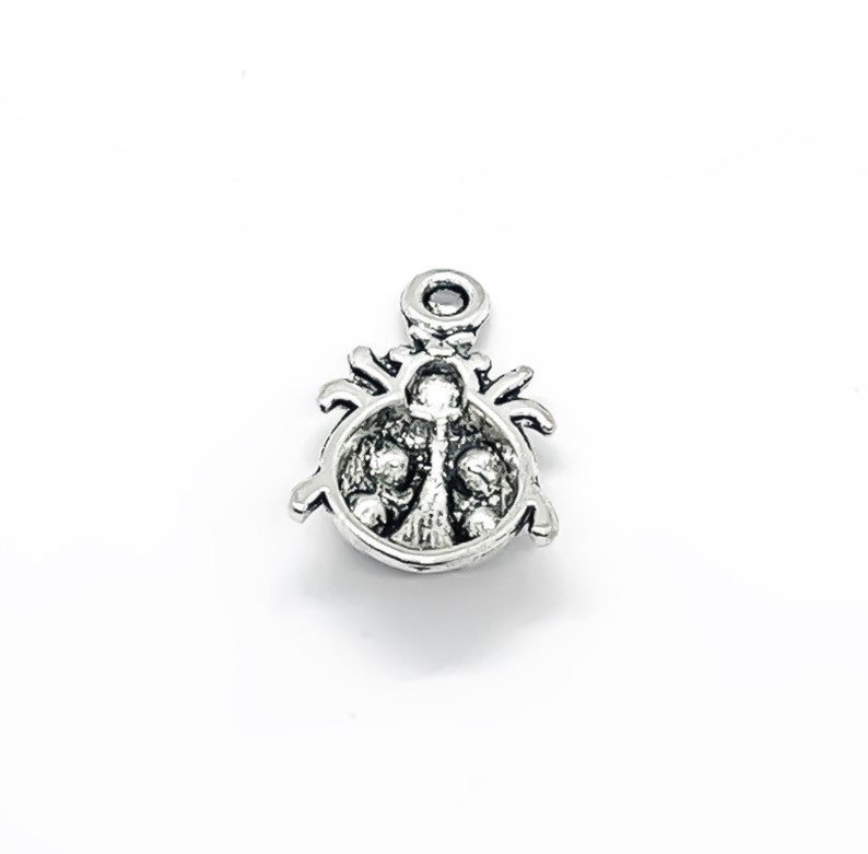 1 Tiny Ladybug Charm Good Luck Charm Nature Charms Garden Charms Insect Charm Gift for Gardener Backyard Charms Gardening Charms