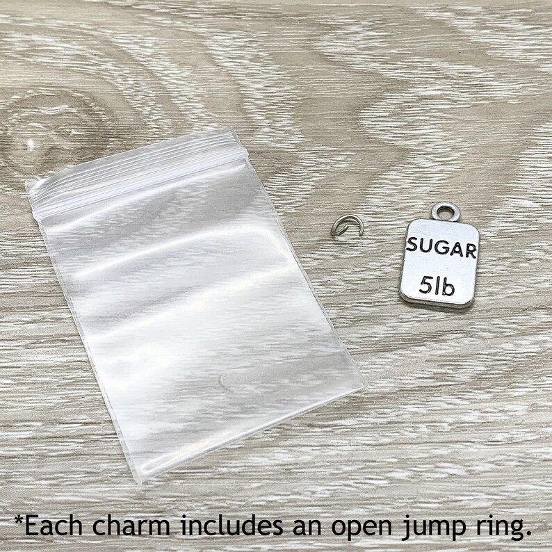 1 Tiny Ladybug Charm Good Luck Charm Nature Charms Garden Charms Insect Charm Gift for Gardener Backyard Charms Gardening Charms
