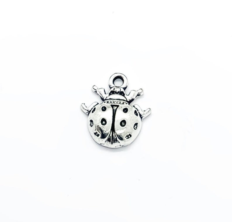 1 Tiny Ladybug Charm Good Luck Charm Nature Charms Garden Charms Insect Charm Gift for Gardener Backyard Charms Gardening Charms