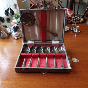 Puede incluir: Un juego de cucharas de plata vintage en una caja decorativa. Las cucharas tienen un diseño en forma de concha y se exhiben sobre un forro de terciopelo rojo. La caja está abierta, revelando las cucharas contra un satén color crema.