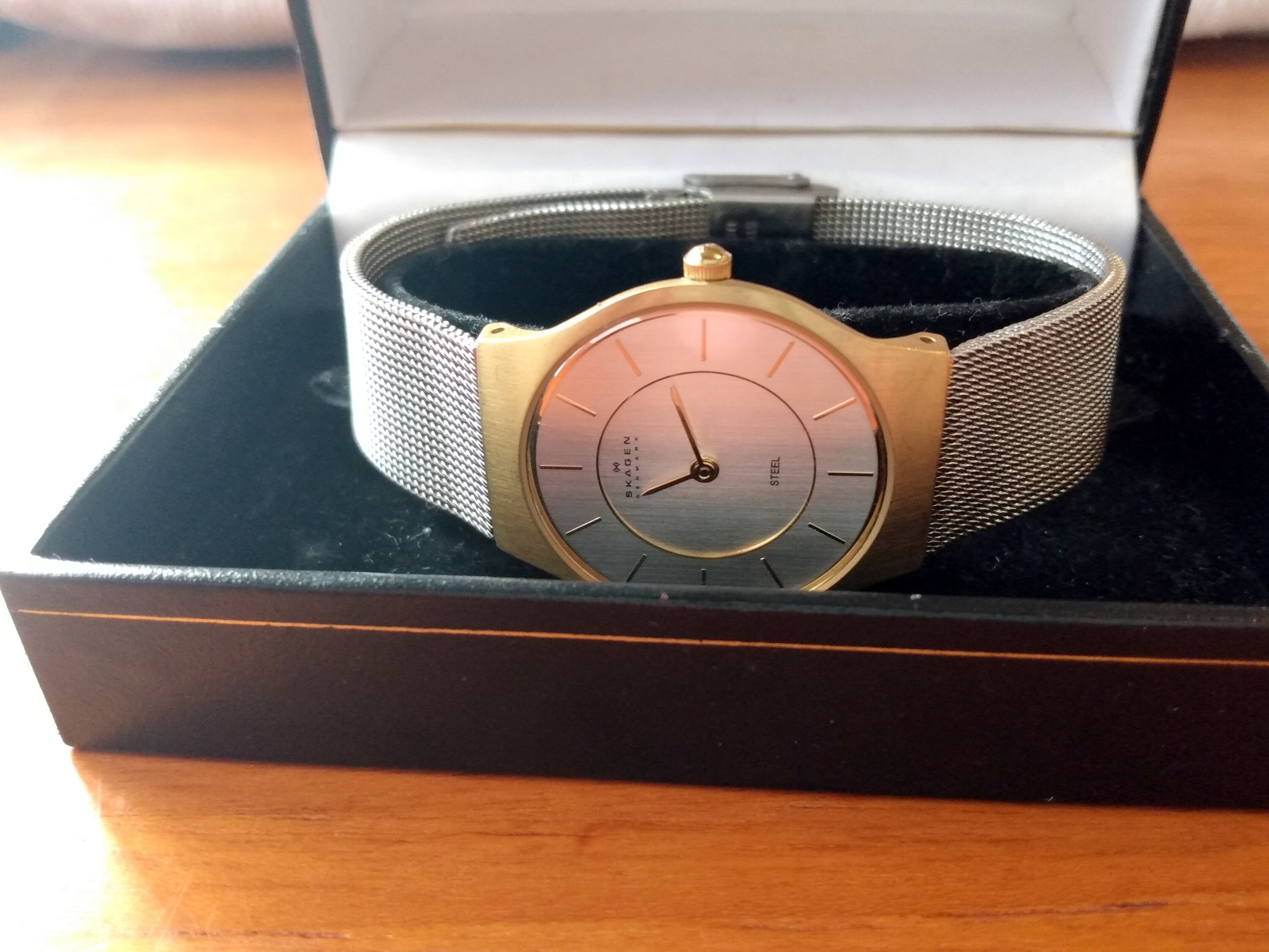 Skagen Sapphire Men s cut Round