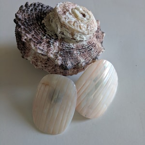 May include: A pair of oval-shaped earrings made of white mother of pearl with a striped pattern. The earrings are sitting on a brown and white seashell.