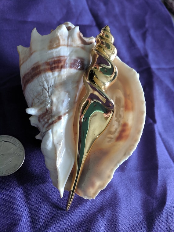 Gold Spiral Conch Shell Vintage Brooch or Pendant - image 1
