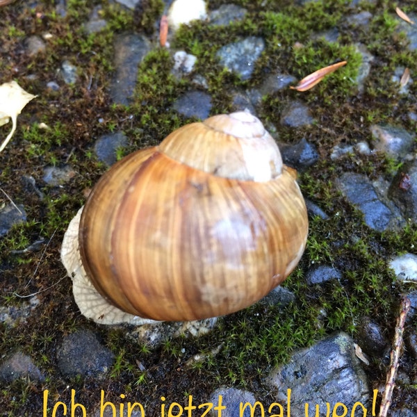 Tanjas Sprüche Ich bin jetzt mal weg Natur Lustig