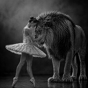 May include: A monochrome image of a ballerina in a tutu and pointe shoes, interacting with a lion. The lion's mane is prominent. The background is dark and out of focus, enhancing the dramatic contrast between the subjects.
