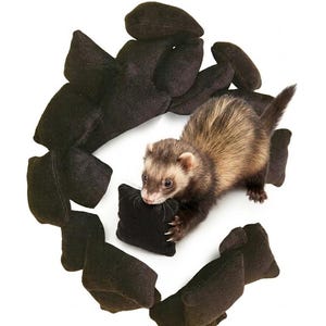 May include: A brown and tan ferret holding a small, square, black fabric pillow in its mouth. The ferret is positioned within a circular arrangement of several identical, small, square, black fabric pillows against a plain white background.