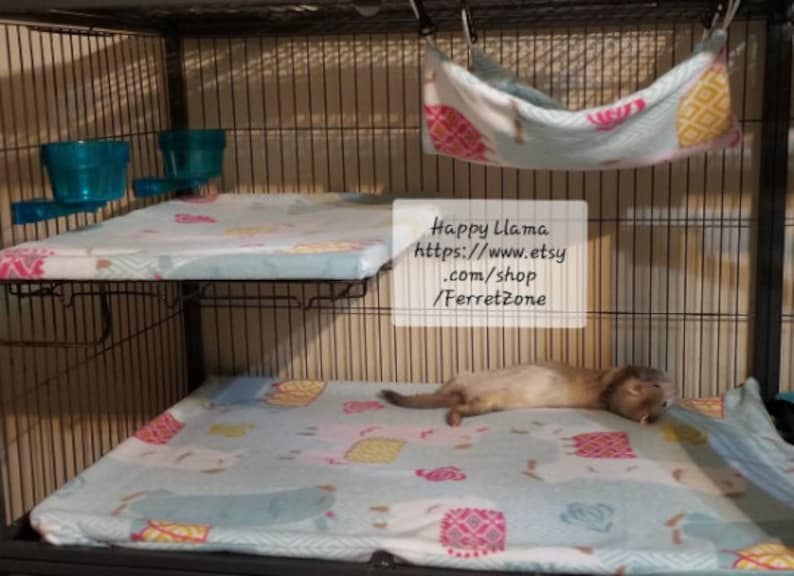 ferret nation cage 181