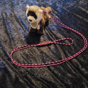 Hedgehog harness store and leash