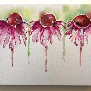 Echinacea watercolor print on canvas image 3