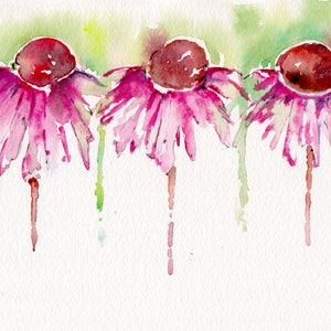 Echinacea watercolor print on canvas image 1