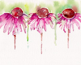 Echinacea  watercolor print on canvas