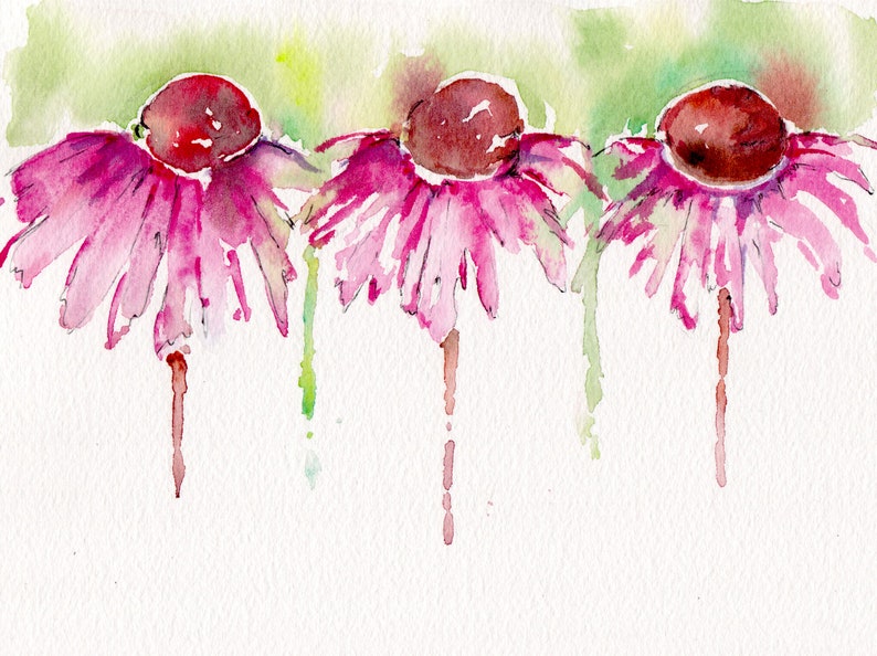 Echinacea watercolor print on canvas image 1