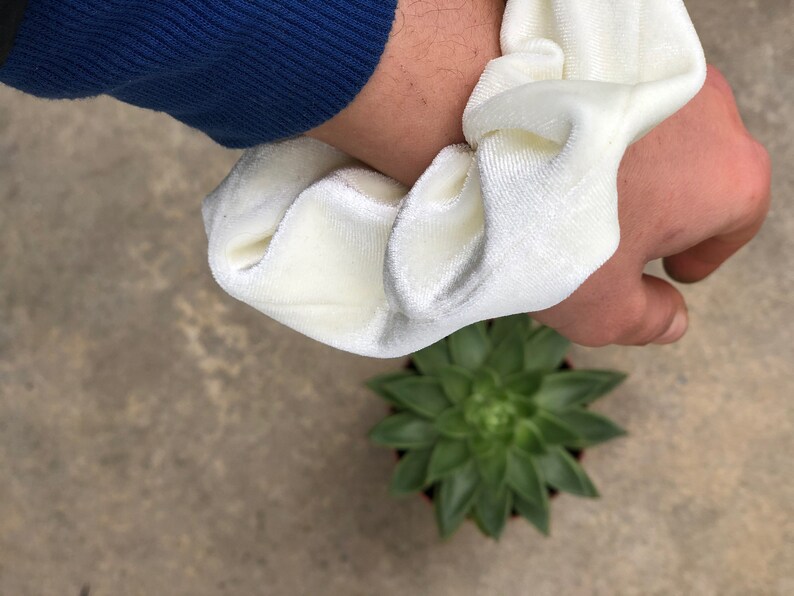 May include: A cream-colored velvet scrunchie is held in a hand, with a small green succulent plant in the background. The scrunchie is soft and gathered, with a slight sheen. The plant has green leaves.