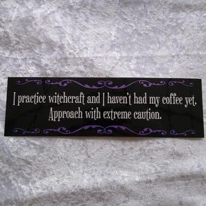 I brake for witches original bumper sticker
