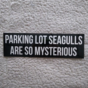 Parking lot seagulls are so mysterious original bumper sticker