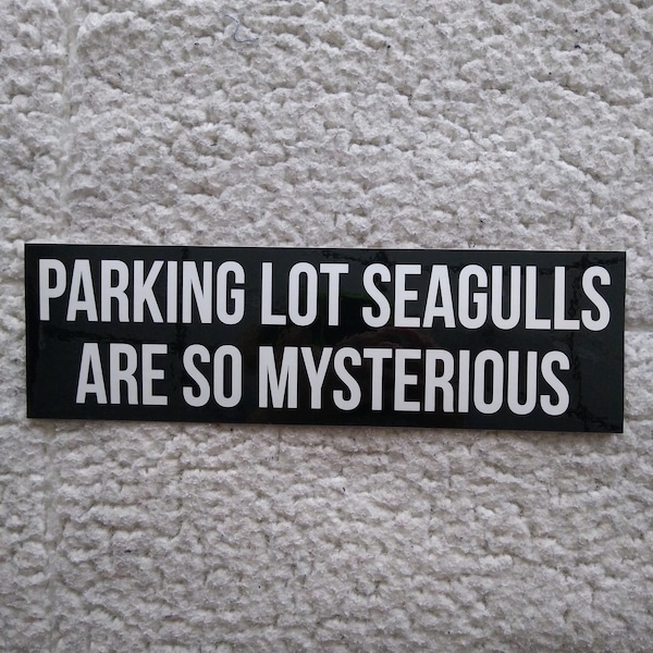 Parking lot seagulls are so mysterious original bumper sticker