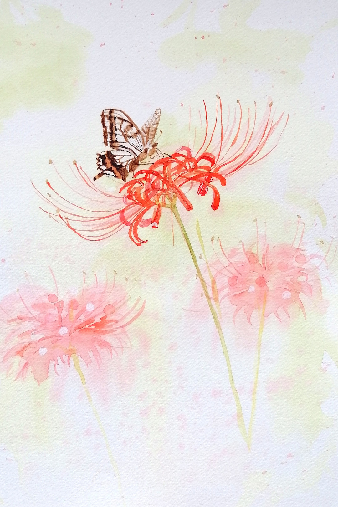 Red Spider Lily Watercolor Painting: Butterfly Botanical Art - Etsy UK