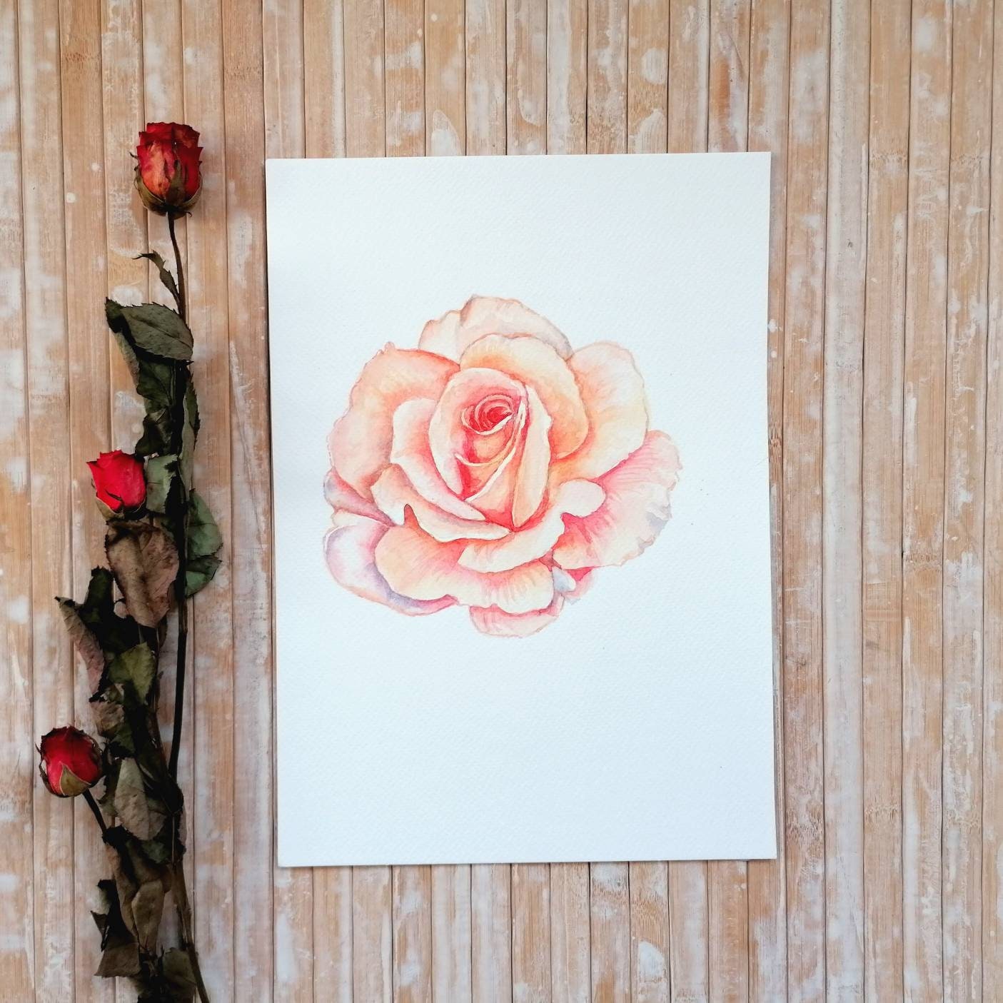 PEACH ROSE Flower Watercolour Original Painting by - Etsy UK