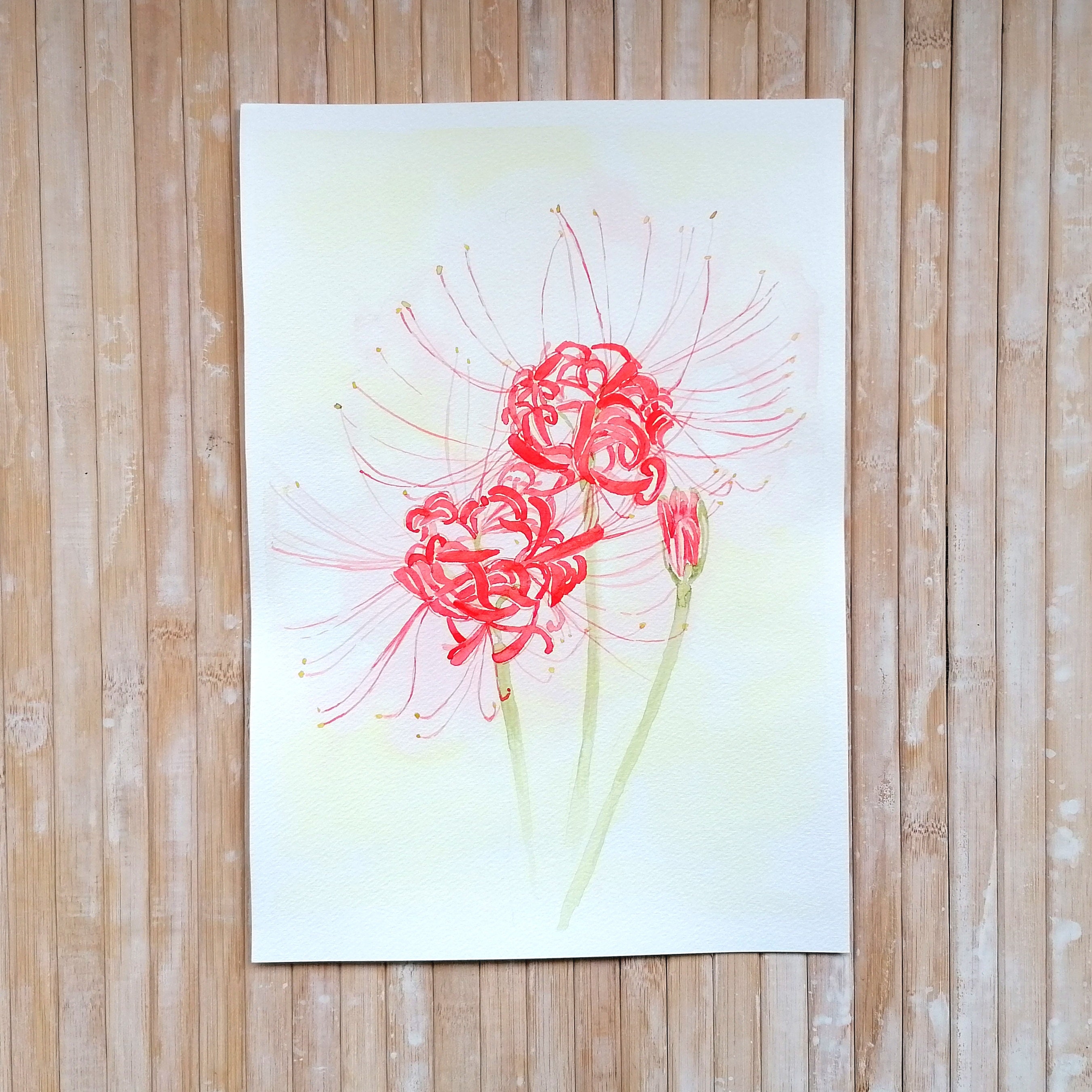Red Spider Lilies, Flower Watercolour Original Painting by ...