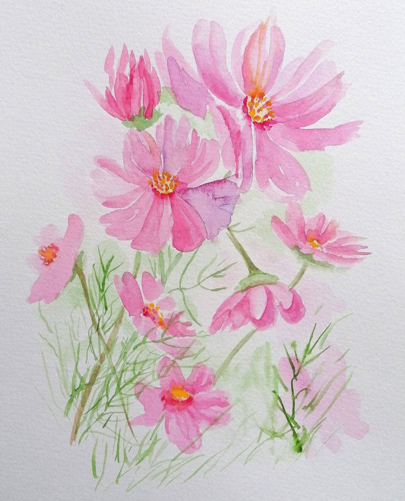 COSMOS BLOOMS Flower Watercolour Original Painting by | Etsy