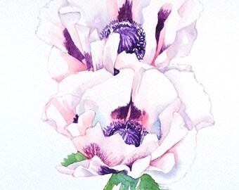 Pink Poppy Flower Watercolour Original Painting, of Pale Pink Oriental Poppies by Geetapatelfineart