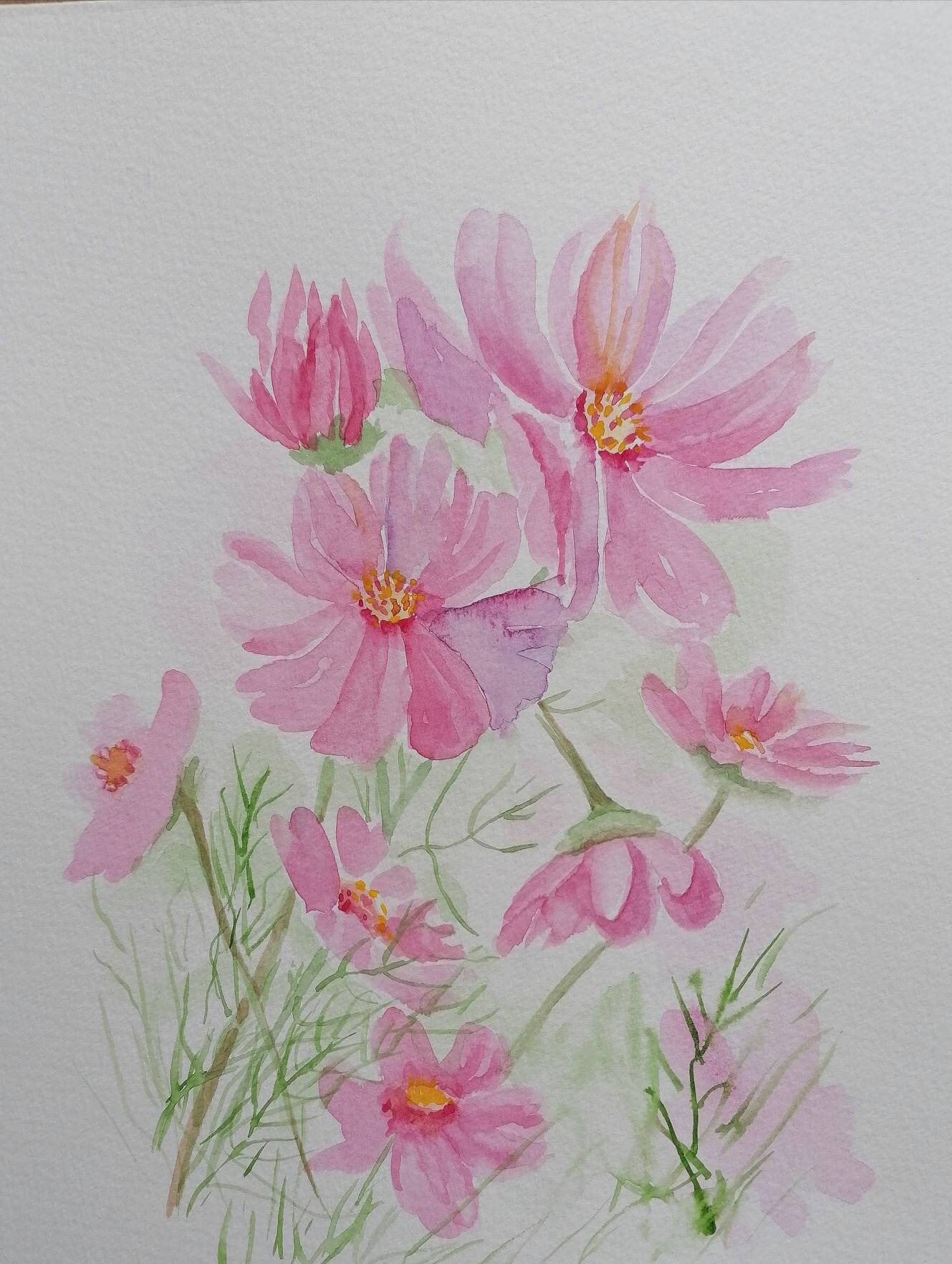 COSMOS BLOOMS Flower Watercolour Original Painting by Etsy