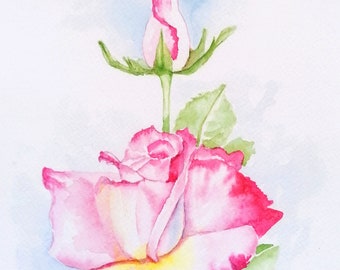 Rose Flower Giclee Print FSC - Bright Pink Tinged White Roses by Geetapatelfineart. Botanical Watercolour Fine Art Print. Floral Home Decor.