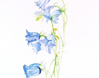 Flower Giclee Print, Bluebell Botanical Wall Art Print. LITTLE BELL a Watercolour Flower Art Print of a Bellflower stem by geetapatelfineart