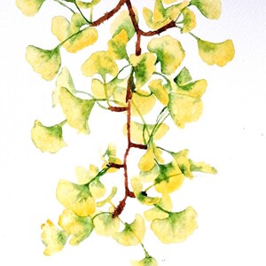 Maidenhair Tree Leaves, an Original Watercolour Painting by Geetapatelfineart. Botanical Wall Art of Ginkgo bilboba.