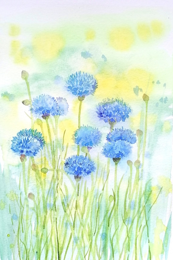 CORNFLOWER MIST, Flower Watercolour Original Painting by