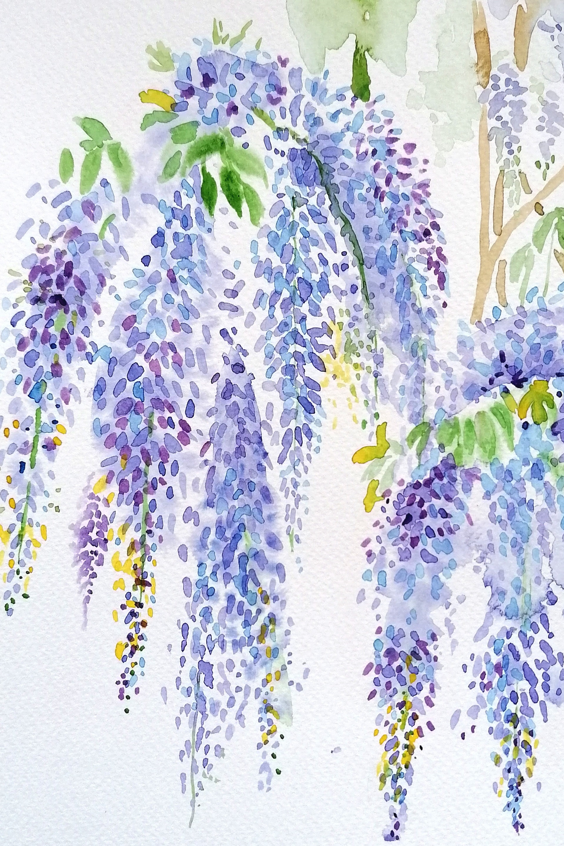 WISTERIA FALLING - Flower Original Fine Art Watercolour Painting by  Geetapatelfineart - Signed by Artist. Size 10 X 8 Inches - Etsy